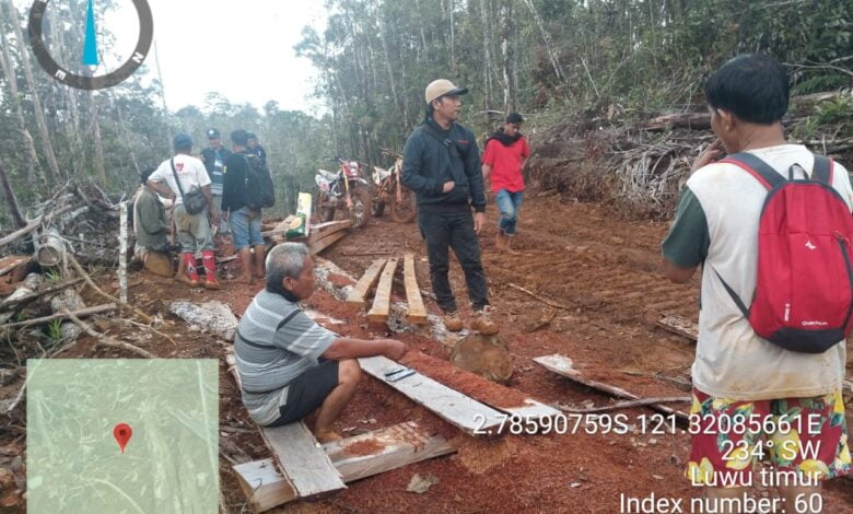 Sungai Malili Tercemar, Diduga Ada Illegal Logging dan Tambang di Hulu