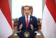 Presiden Jokowi Minta Maaf ke Warga Papua