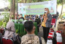 Fatmawati Serahkan Bantuan Alsintan 100 Unit Hand Sprayer Kepada Kelompok Tani