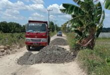 Tamparan Buat Pemerintah Bone! Pemuda Cenrana Perbaiki Jalan dengan Swadaya