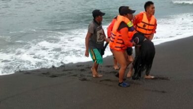 Korban Tewas Wisata Ritual Maut di Pantai Payangan Jember Bertambah Jadi 11 Orang