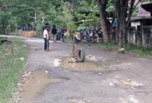 Kecewa, Warga Bone Tanam Pohon Pisang di Jalan Berlumpur