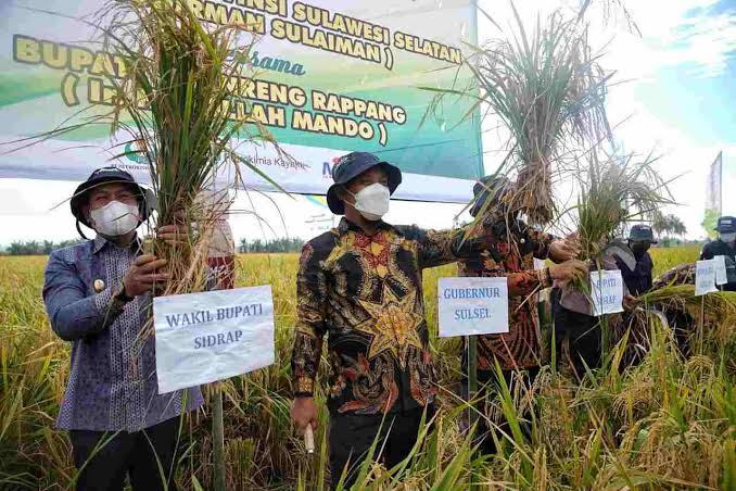 Ekonomi Sulsel Tumbuh, Gubernur: Sektor Pertanian Berperan Besar