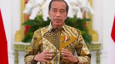 Diatur Perpres, Jokowi Bakal Bentuk Dewan Penasihat Otorita IKN