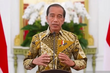 Diatur Perpres, Jokowi Bakal Bentuk Dewan Penasihat Otorita IKN