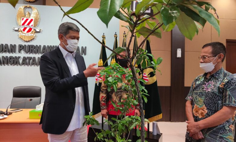 Kado Pohon Hiasi Syukuran Ultah Doni Monardo