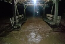 Puluhan Rumah Terendam Banjir dan Tanah Longsor di Luwu, Gubernur Sulsel Kirim Bantuan Logistik