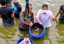 Dengan Udang, Mencetak Kampung-kampung "Petro Dollar"