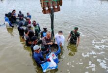 Bisnis Udang, Makmurnya Rame-rame, Ini Tipsnya