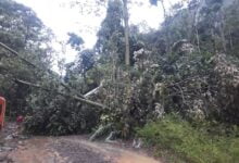 Respons Cepat Pemprov Sulsel, Kurang 24 Jam Selesaikan Jalan Tertutup Akibat Tanah Longsor di Batas Gowa-Tondong Sinjai