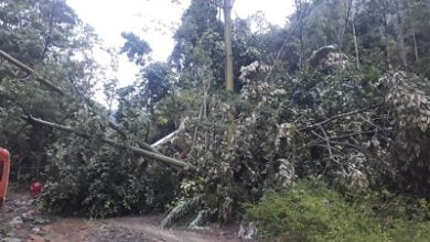 Respons Cepat Pemprov Sulsel, Kurang 24 Jam Selesaikan Jalan Tertutup Akibat Tanah Longsor di Batas Gowa-Tondong Sinjai