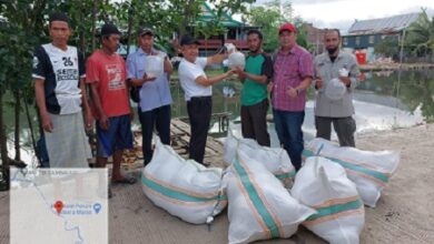 DKP Sulsel Salurkan Bantuan Benur Udang di Kabupaten Maros