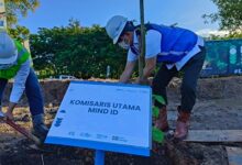 Kisah Doni Monardo Melakukan Pembibitan Pohon: Dari Istana ke Bukit Asam