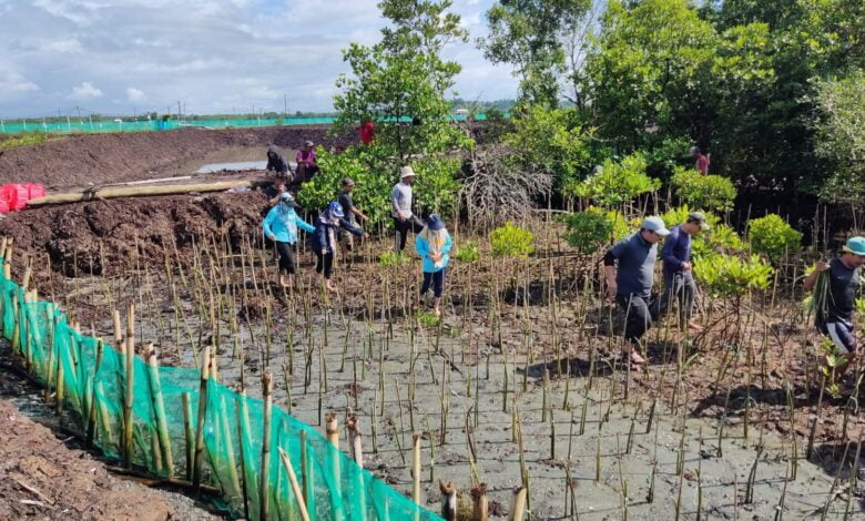 Jaga Kelestarian Kawasan Pesisir, DKP Sulsel Tanam 38 Ribu Batang Mangrove di Bone