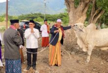 Usai Salat Idul Adha, Plt Sekda Serahkan Hewan Kurban dari Gubernur Sulteng