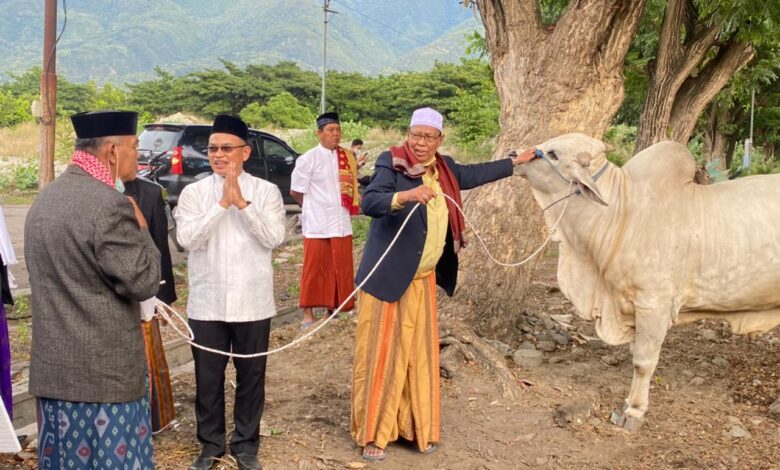 Usai Salat Idul Adha, Plt Sekda Serahkan Hewan Kurban dari Gubernur Sulteng