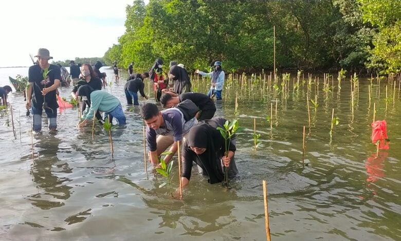DKP Sulsel Tanam 10 Ribu Bibit Magrove di Borimasunggu Pangkep