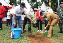 Andi Sudirman Dampingi Menteri PMK Sukseskan Penanaman 10 Juta Pohon di Sulsel