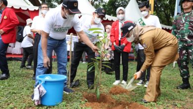 Andi Sudirman Dampingi Menteri PMK Sukseskan Penanaman 10 Juta Pohon di Sulsel