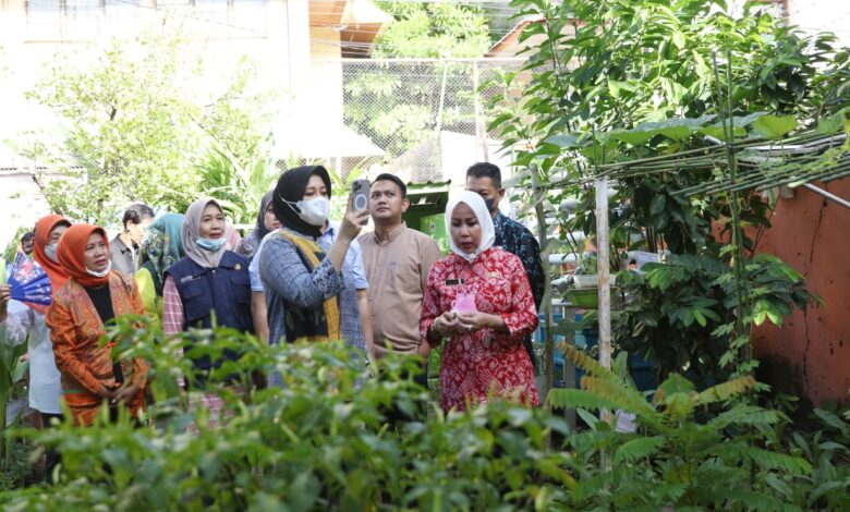 Tinjau Lorong Wisata di Sungai Pareman, Fatmawati Pastikan Kebutuhan Kelompok Tani Terpenuhi
