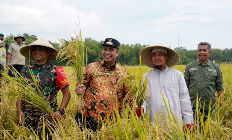 Program Mandiri Benih oleh Gubenur Sulsel, Bupati Maros: Hasilnya Luar Biasa