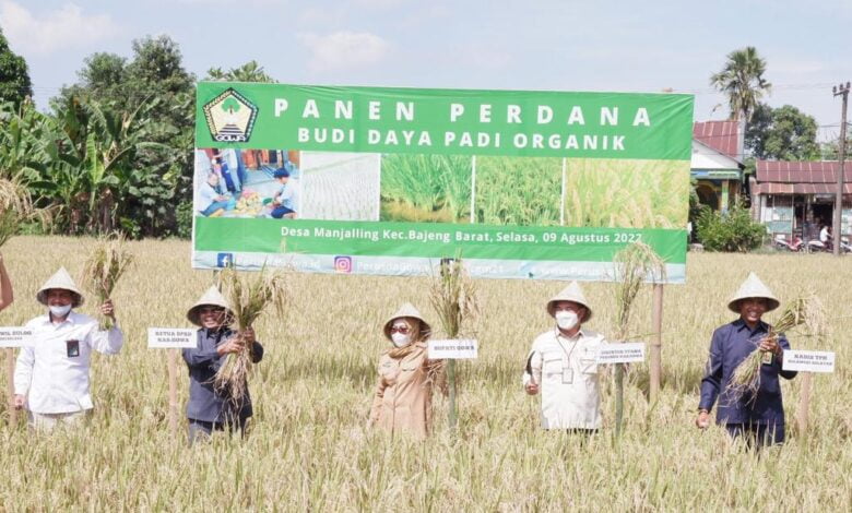 Pemkab Gowa Dorong Penggunaan Pupuk Organik ke Petani