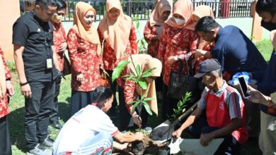 Semarakkan Hari Anak Nasional, DWP Sulsel Tanam Pohon di SMA-SMK