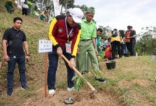 Danny Pomanto Tanam Pohon Durian di Kebun APEKSI Padang