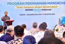 Program Prioritas Gubernur, DKP Sulsel Telah Tanam Mangrove 1,7 Juta Batang