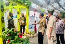 Di Stand Kodam Pattimura, Jokowi Cermati Sukun