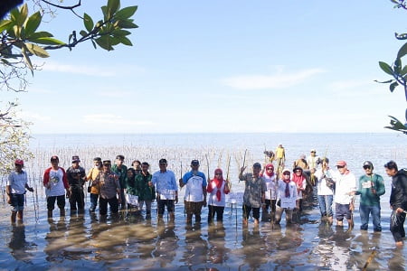 CDK Bosowasi Tanam 38 Ribu Batang Mangrove di Pancaitana Bone