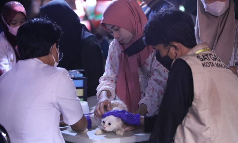 Animal Care Vaksin 160 Kucing dan Anjing di Makassar F8