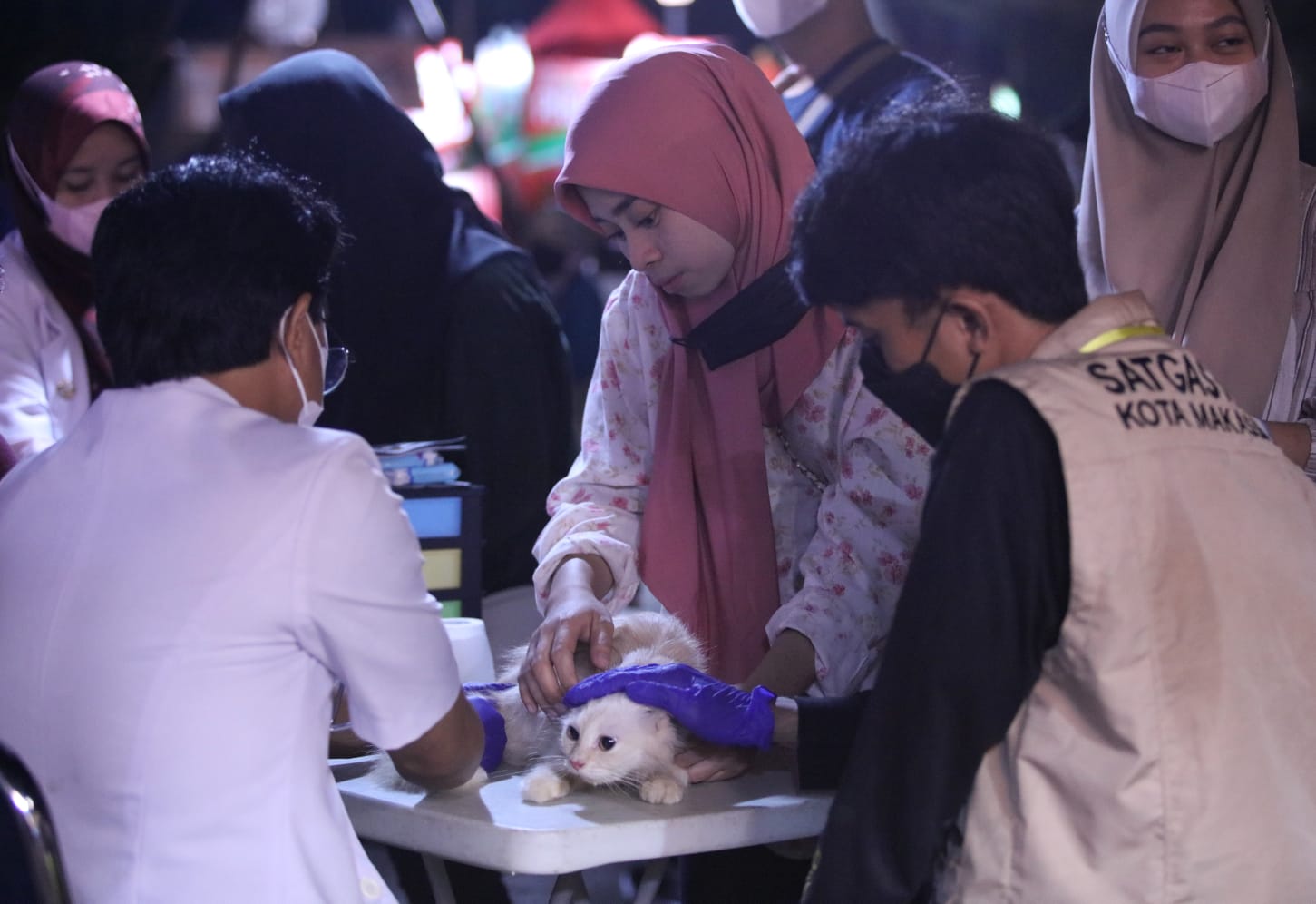 Animal Care Vaksin 160 Kucing dan Anjing di Makassar F8