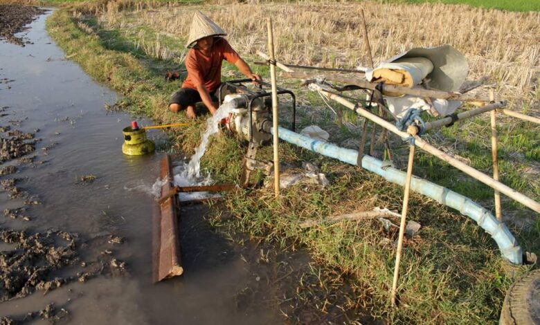 Kabar Gembira, Petani Bone Akan Kembali Dapat Bantuan Alsintan dari Pemerintah Pusat
