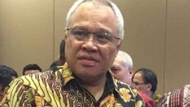 Tolak Perpanjangan Kontrak Karya Vale, Guru Besar Unhas Jempol Gubernur Andi Sudirman