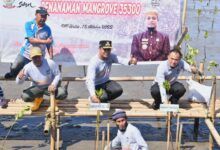 Gubernur Andi Sudirman Bersama Pelajar dan Masyarakat Tanam Mangrove 35.300 Batang