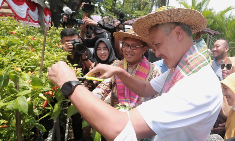 Wali Kota Danny dan Gubernur Ganjar Panen Cabai dan Ikan Nila di Lorong Wisata Sydney