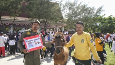 Kuda Hadiah Utama Jalan Santai Anti Mager Jeneponto Diraih Satpol PP Diserahkan Gubernur Sulsel
