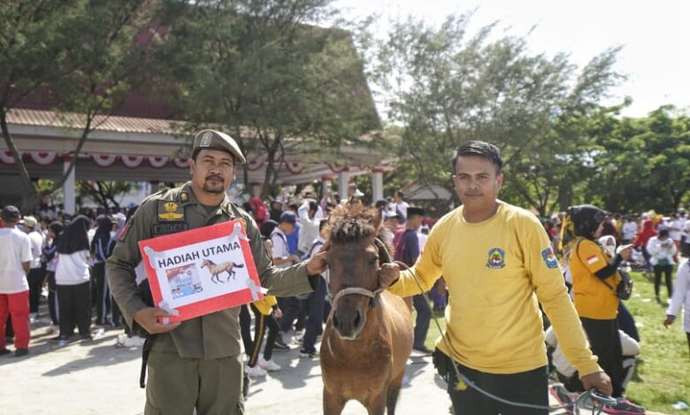 Kuda Hadiah Utama Jalan Santai Anti Mager Jeneponto Diraih Satpol PP Diserahkan Gubernur Sulsel