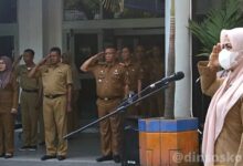 Sekdis Dinsos Minta Pegawai Dinas Sosial Respons Cepat Aduan Masyarakat