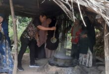 Libatkan KTH Cenreangin, Mahasiswa Kehutanan Unhas Demo Pembuatan Gula Aren di Desa Maddenra Sidrap