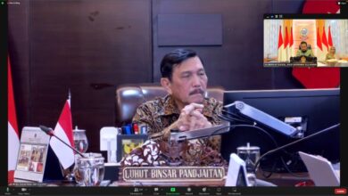 Kasus PMK Mulai Melandai, Gubernur Sulsel Libatkan TNI-Polri untuk Gencarkan Vaksinasi Bagi Ternak