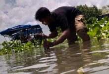 Memprihatinkan, Sungai Jeneberang Tercemar Mikroplastik