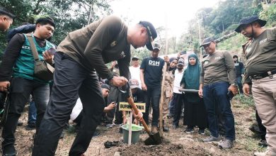 Pemkab Gowa Tanam 70.200 Pohon di Lokasi Hutan Kritis