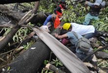 Pohon Tumbang di Depan PN Makassar Timpa Dua Pekerja