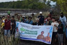 DKP Sulsel Bersama Masyarakat Pelestari Lingkungan Tanam 40 Ribu Batang Mangrove di Pesisir Wajo