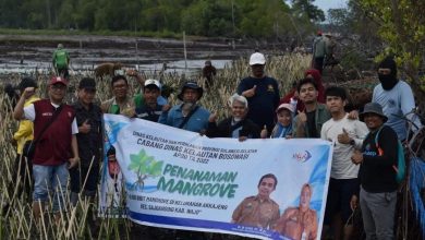 DKP Sulsel Bersama Masyarakat Pelestari Lingkungan Tanam 40 Ribu Batang Mangrove di Pesisir Wajo