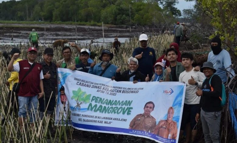 DKP Sulsel Bersama Masyarakat Pelestari Lingkungan Tanam 40 Ribu Batang Mangrove di Pesisir Wajo