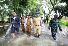 Danny Pomanto Tinjau Lokasi Banjir dan Salurkan Bantuan untuk Korban