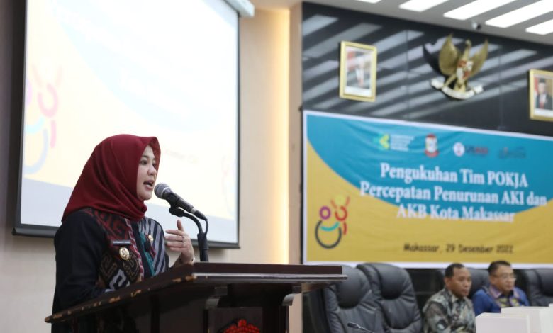 Target Zero, Fatmawati Sebut Penurunan AKI-AKB Komitmen Bersama